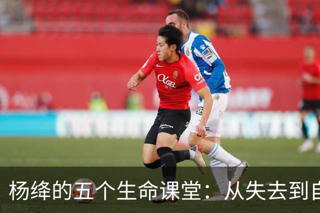 杨绛的五个生命课堂：从失去到自我觉醒